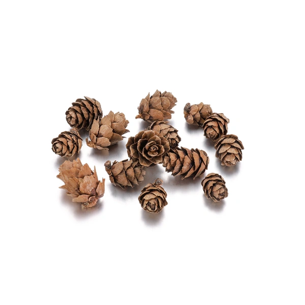 Craft Affaire Pine Cones - Small - 15 pieces